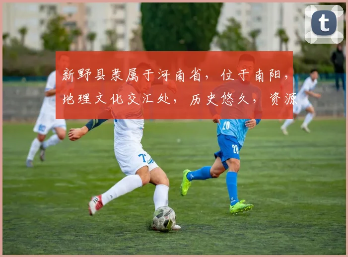 新野县隶属于河南省，位于南阳，地理文化交汇处，历史悠久，资源丰富，旅游胜地。