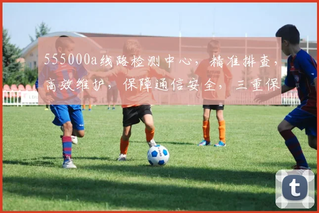 555000a线路检测中心，精准排查，高效维护，保障通信安全，三重保障，不容忽视，必看攻略