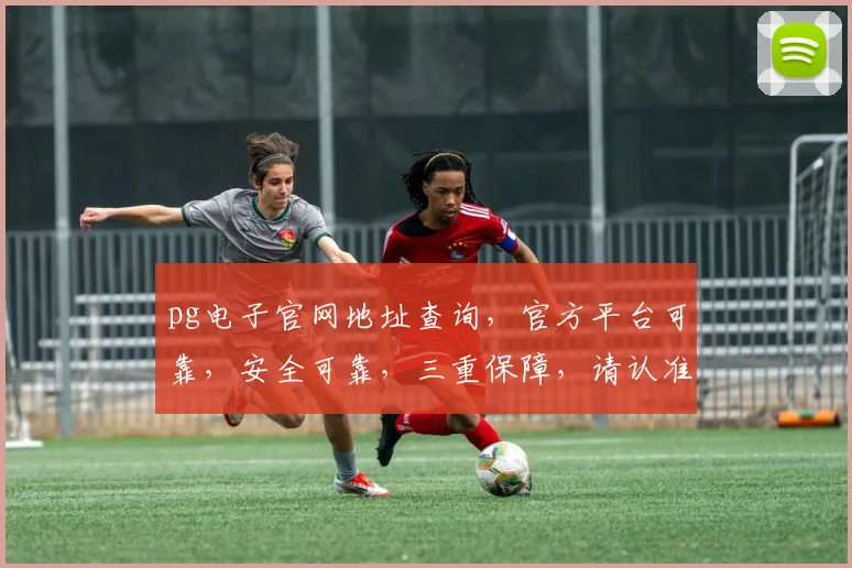 pg电子官网地址查询，官方平台可靠，安全可靠，三重保障，请认准