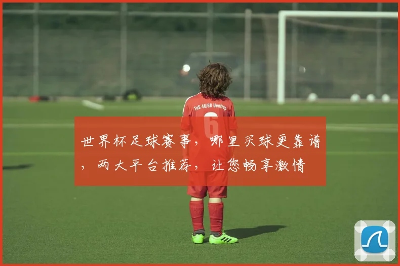 世界杯足球赛事，哪里买球更靠谱，两大平台推荐，让您畅享激情