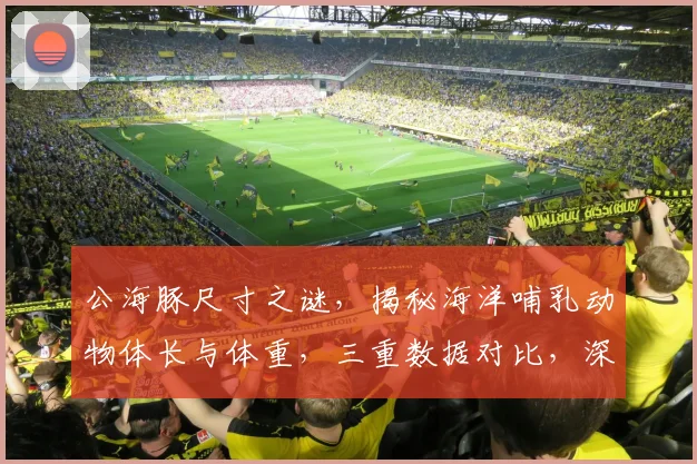 公海豚尺寸之谜，揭秘海洋哺乳动物体长与体重，三重数据对比，深度解析