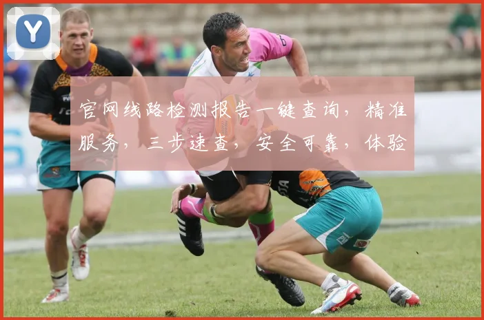 官网线路检测报告一键查询，精准服务，三步速查，安全可靠，体验无忧。